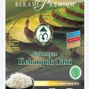 Beras Premium Super Pulen 10kg Gapoktan Manunggal Lampung